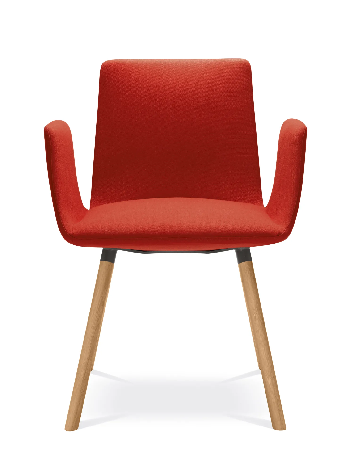 Harmony Modern – Obrázok 3